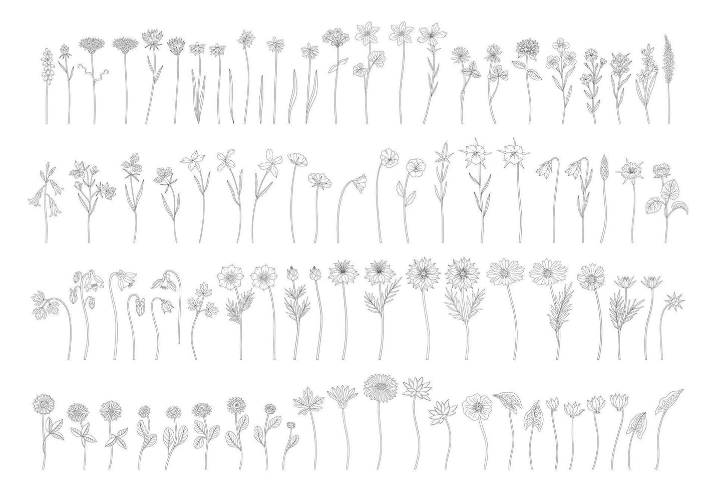 Wildflowers set in line art, contour, and minimal style. Hand drawn diverse meadow flowers, herbs, and wild plants. Botanical elements for design projects vector