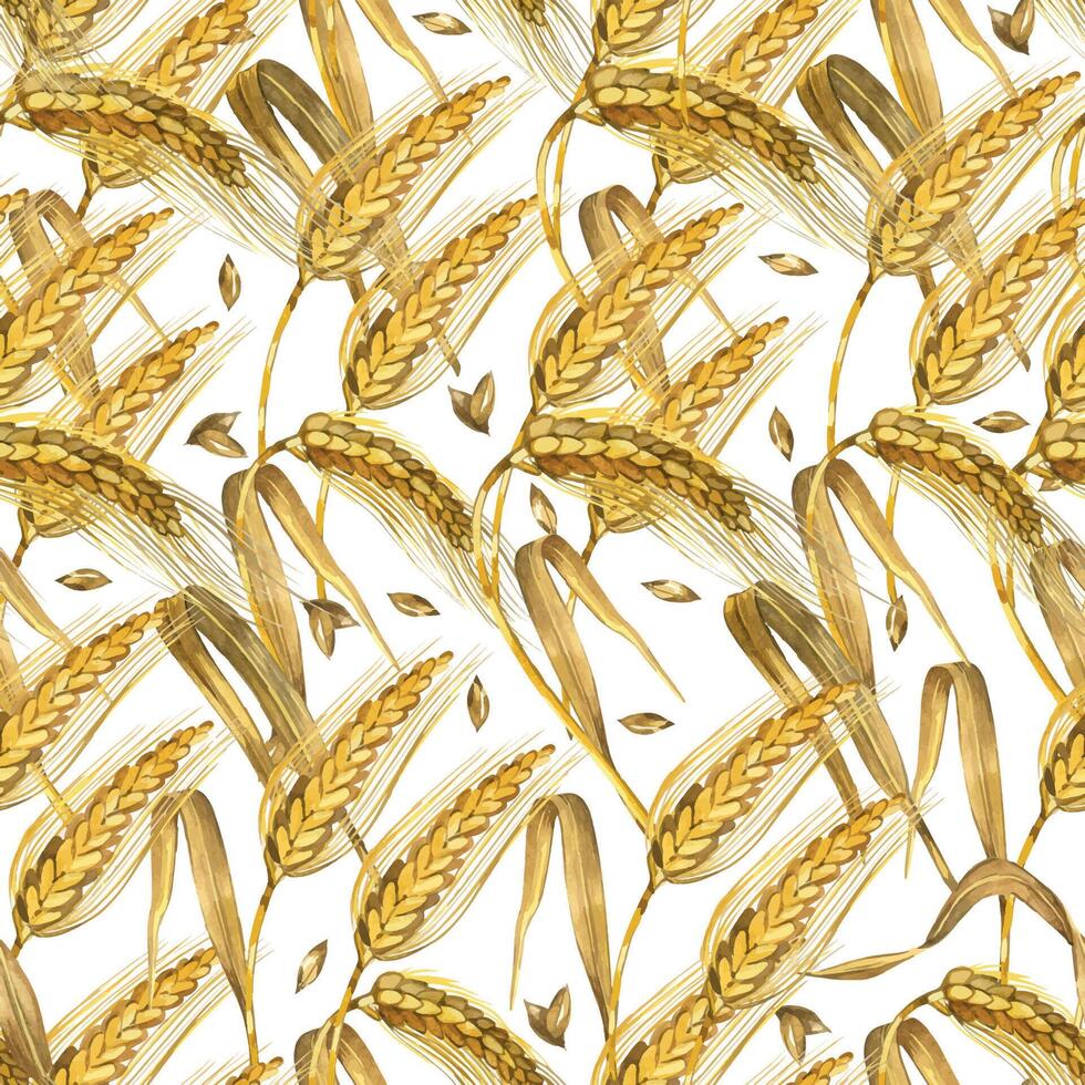 Seamless watercolor pattern. Wheat ears, ripe wheat grains hand painted in watercolor and isolated on white background. Suitable for printing on fabric, kitchen textiles, scrapbooking vector