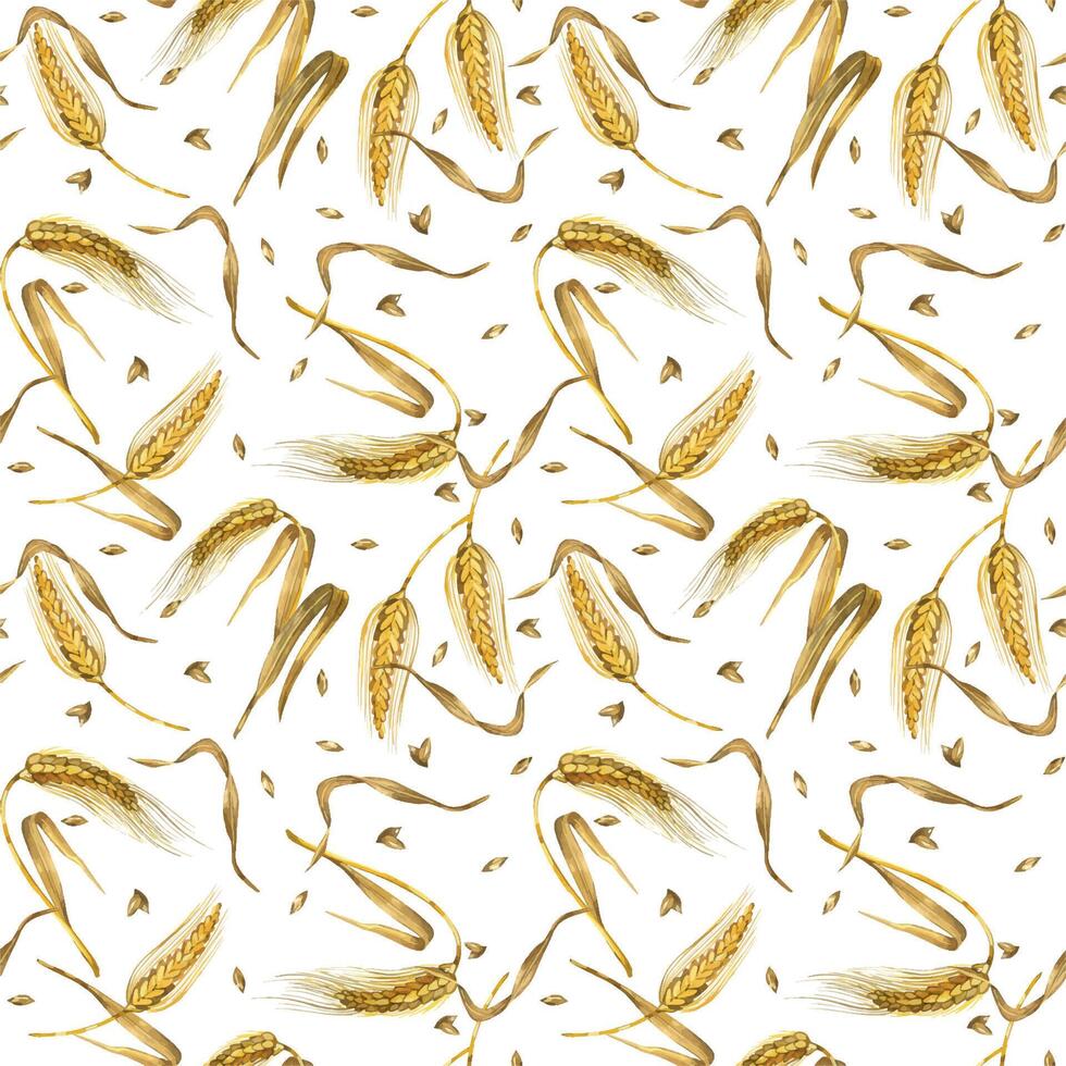 Seamless watercolor pattern. Wheat ears, ripe wheat grains hand painted in watercolor and isolated on white background. Suitable for printing on fabric, kitchen textiles, scrapbooking vector