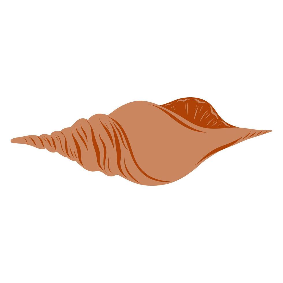 Hand drawn brown nautilus, shell, spiral, ammonite, mollusk illustration vector