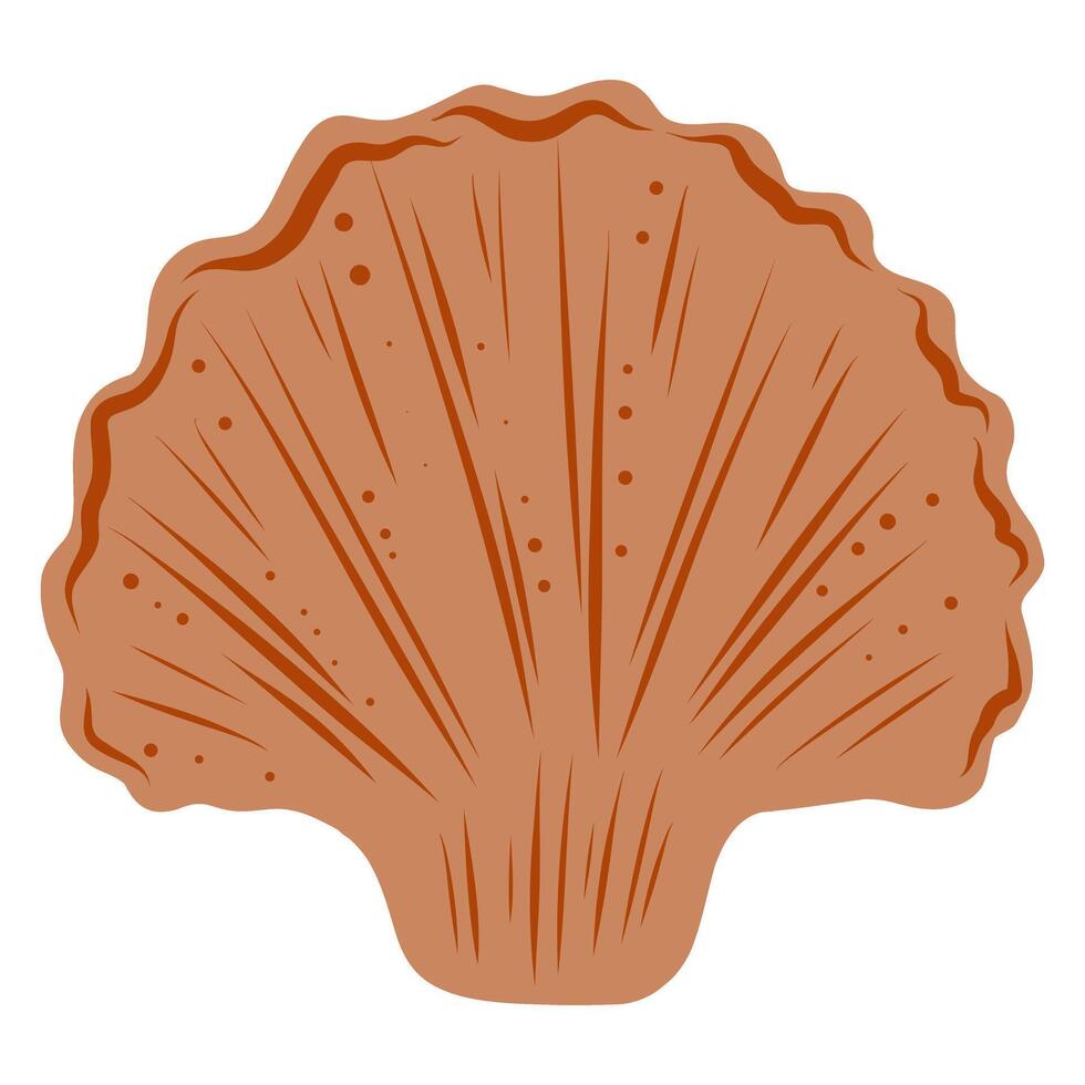 Hand drawn brown ammonite, shell, nautilus, spiral, mollusk illustration vector