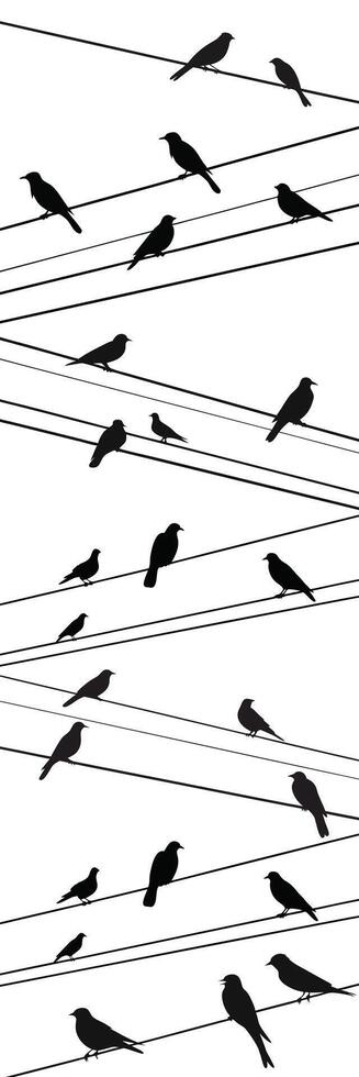 Birds are on wire flat icons silhouette vector