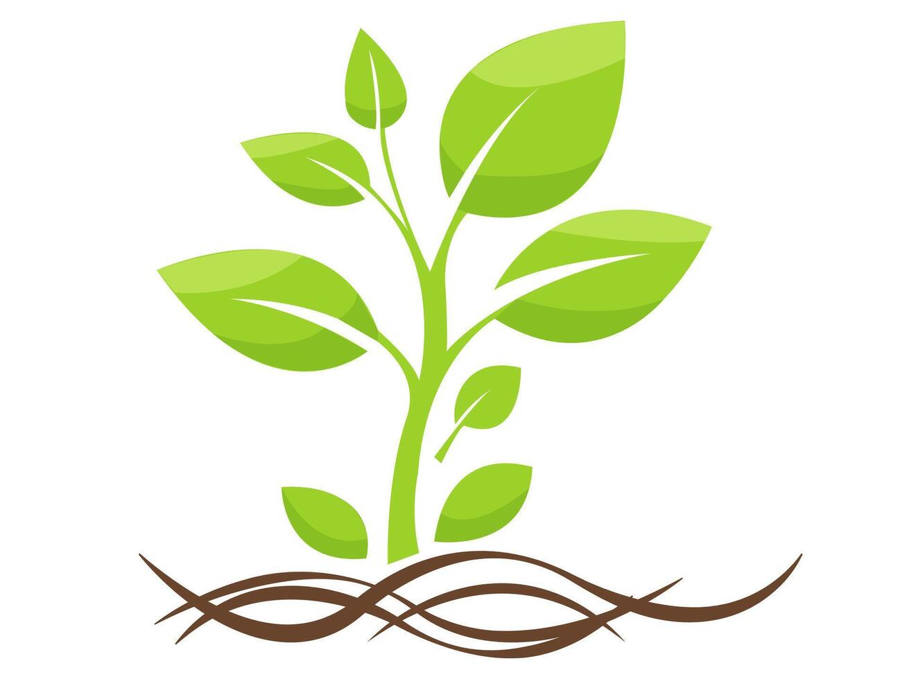 A green plant with roots on a white background vector