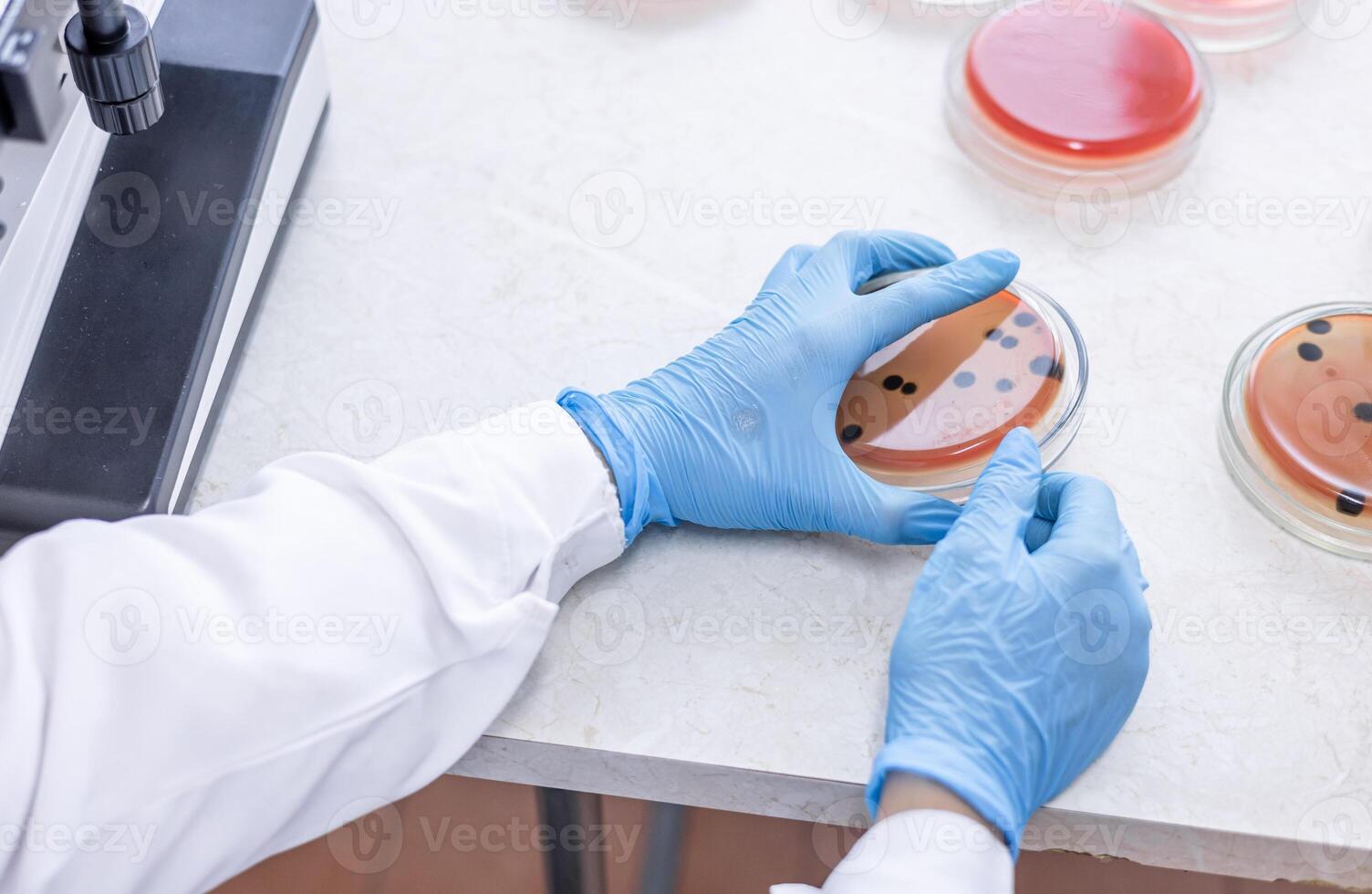 A person in a lab coat is holding a plate with some bacteria photo