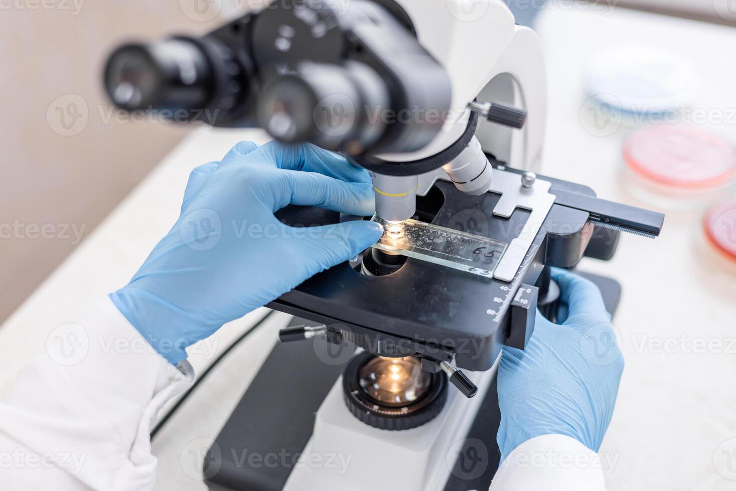 A person in a lab coat is using a microscope photo