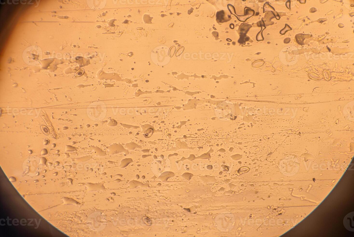 A close up of a brown object photo