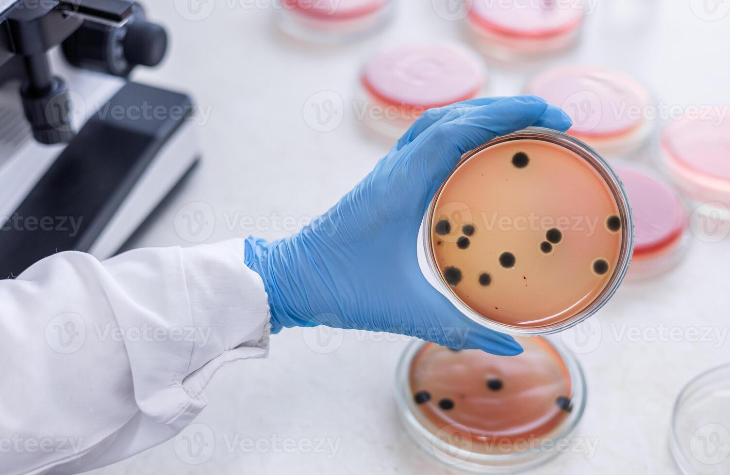 A person holding a plate with a black substance on it photo