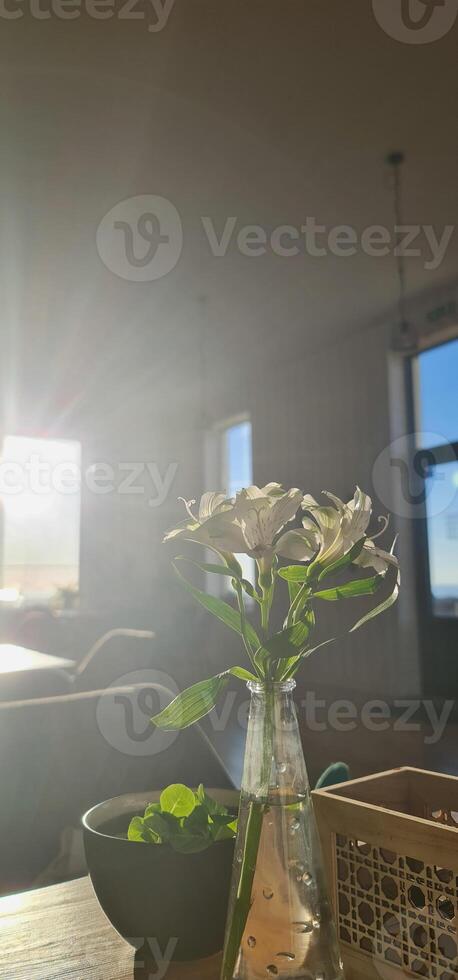 Beautiful flower in transparent vase with amazing sunlight photo