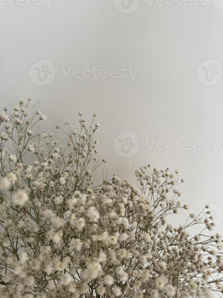 Delicate white flowers against a soft neutral background photo