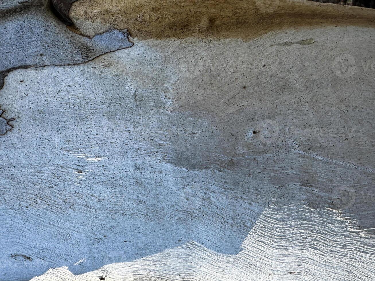Natural patterns on a rock surface showcase unique textures and colors in outdoor setting photo