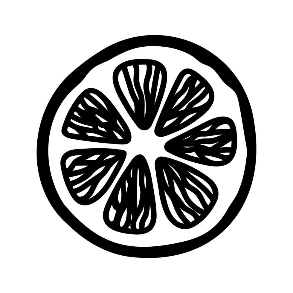 Doodle illustration of lemon circle slice. Hand drawn garden fruit for healthy menu vector