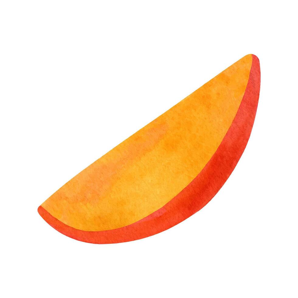 Watercolor slice mango Illustration. Hand drawn cutting exotic fruit clipart vector