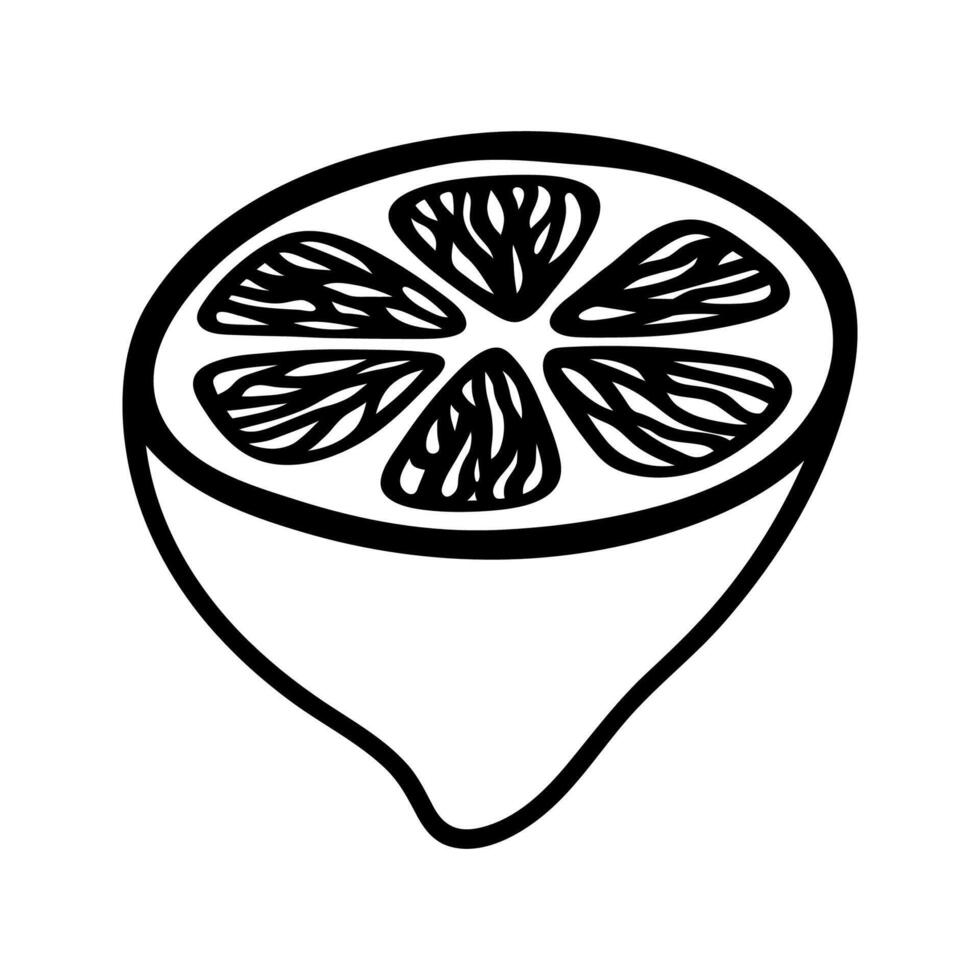 Doodle illustration of lemon half slice. Hand drawn garden fruit for healthy menu vector