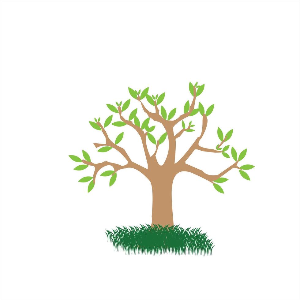 A tree is isolated on a white background vector