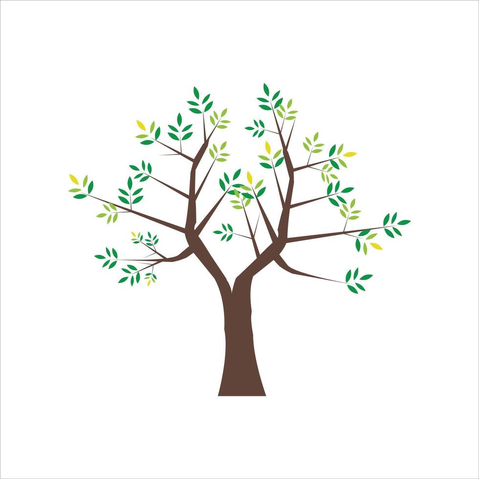Flat green trees illustration on white background vector