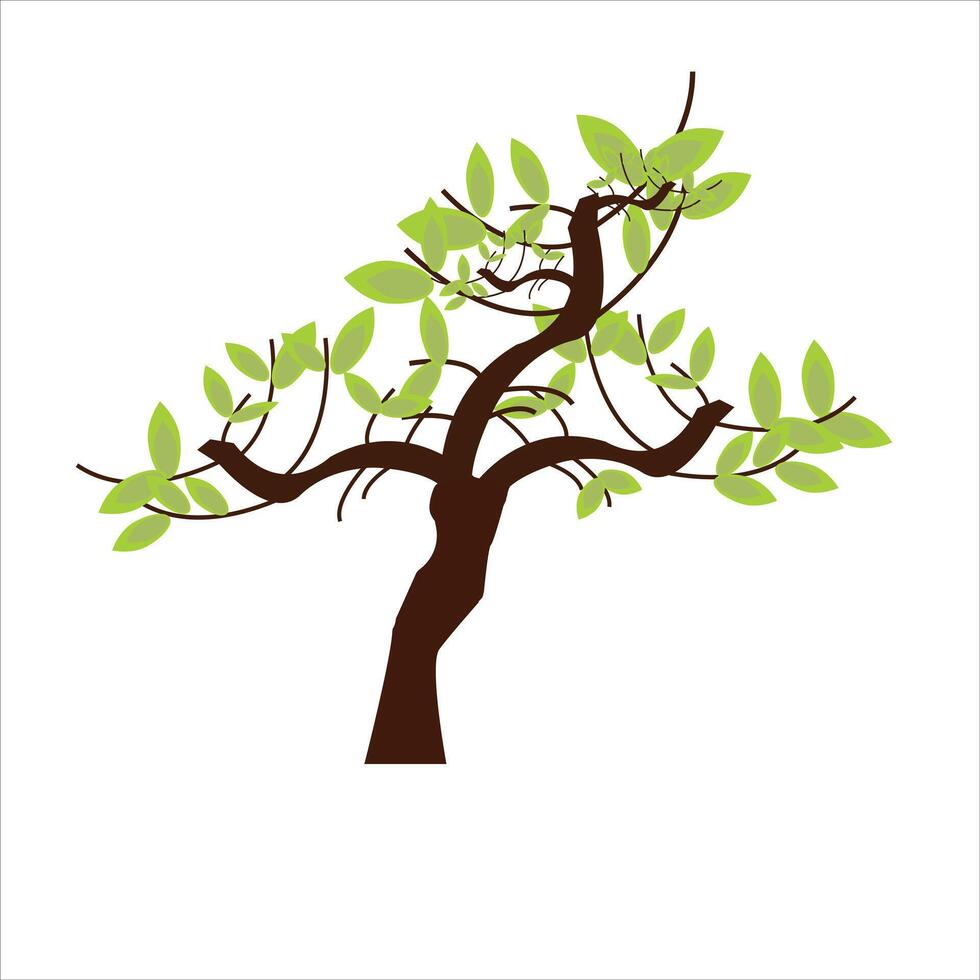 Simple tree Illustration on white background vector