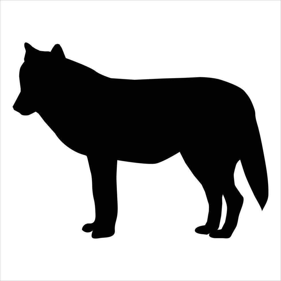 A wolf stand on a white background vector