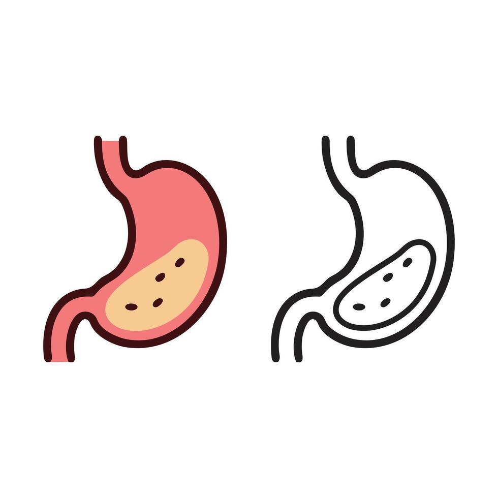 Stomach Icon in Color, line art and Silhouette Human internal organ body part Illustration vector