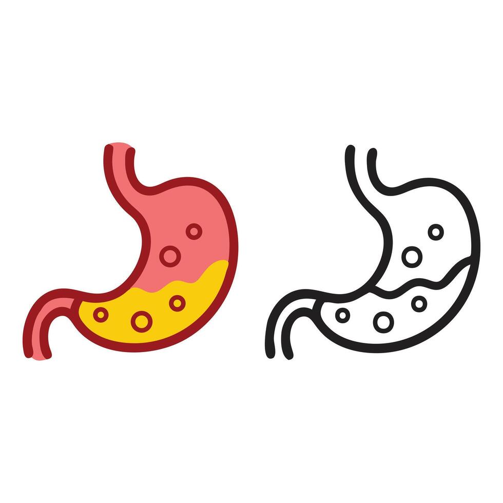 Stomach Icon in Color, Outline, and Silhouette Human internal organ body part Illustration vector