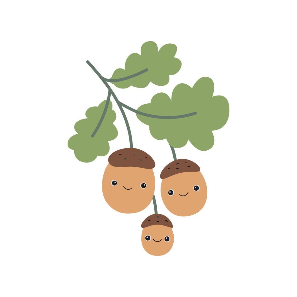 Acorns. Cute character. Kawaii. For printing on postcards and other uses. vector
