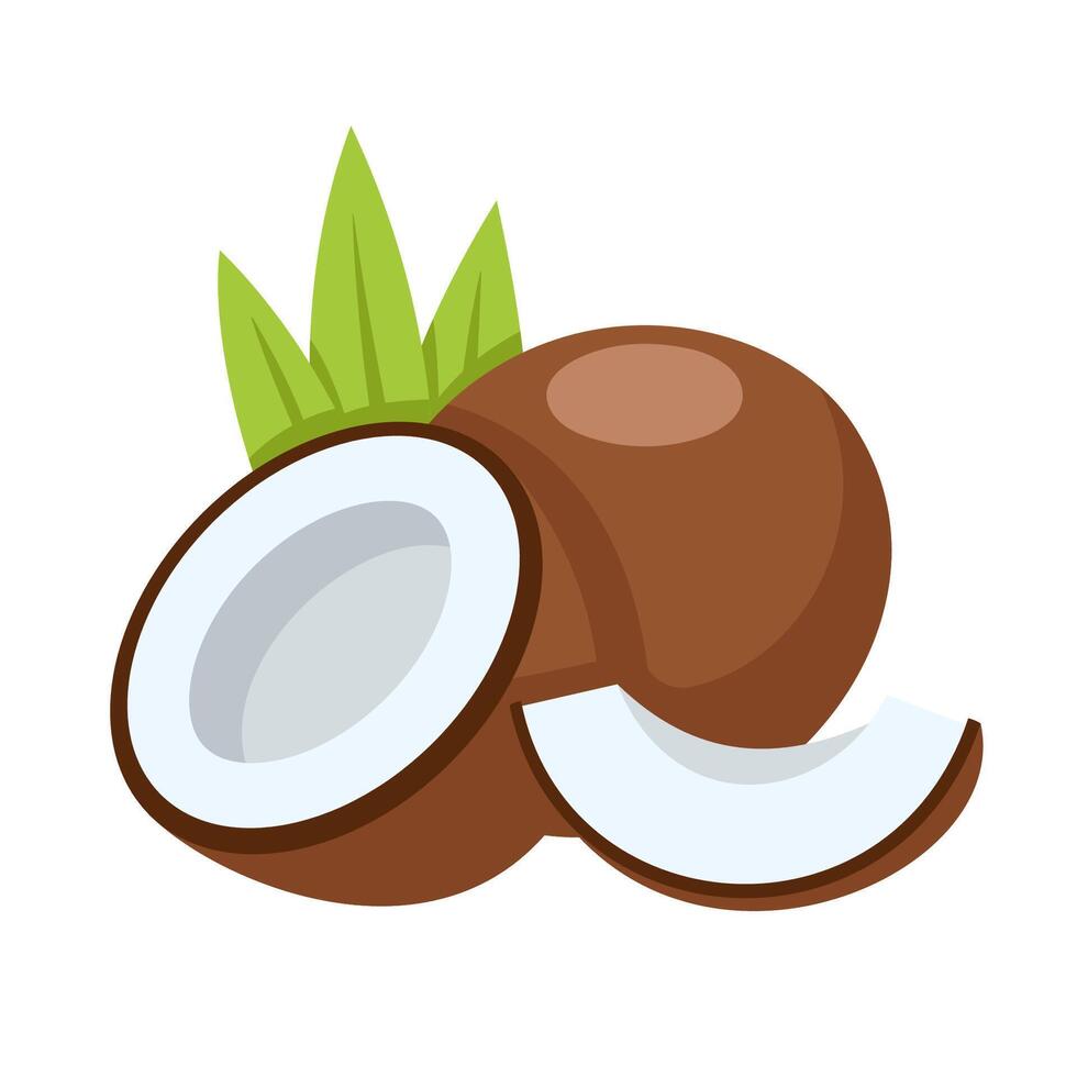 Icon coconut isolated on white background vector