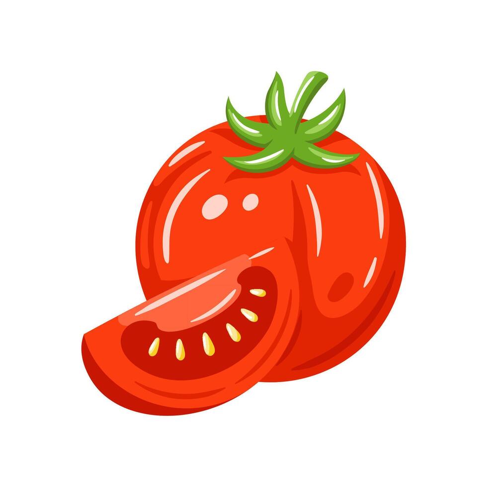 Tomato red isolated on white vector
