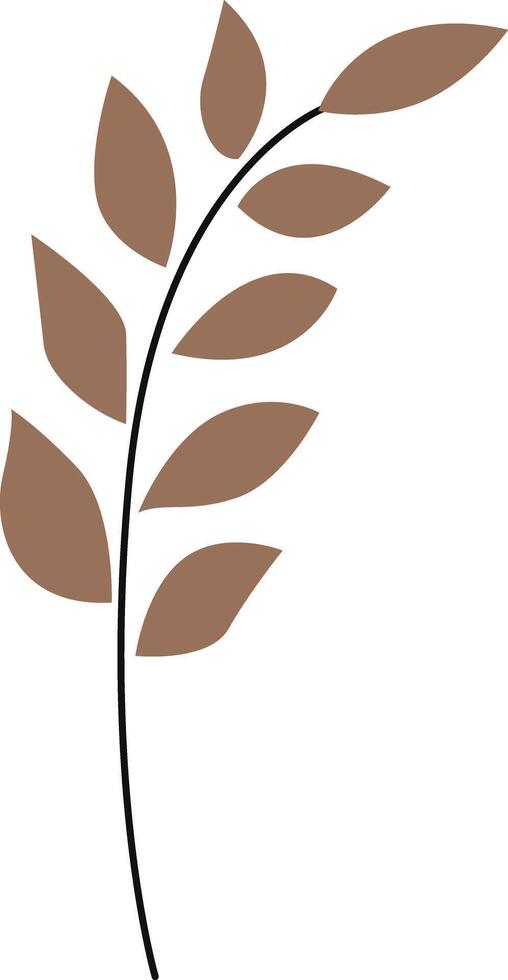 A stylish brown leaves illustration with a modern and aesthetic design. vector