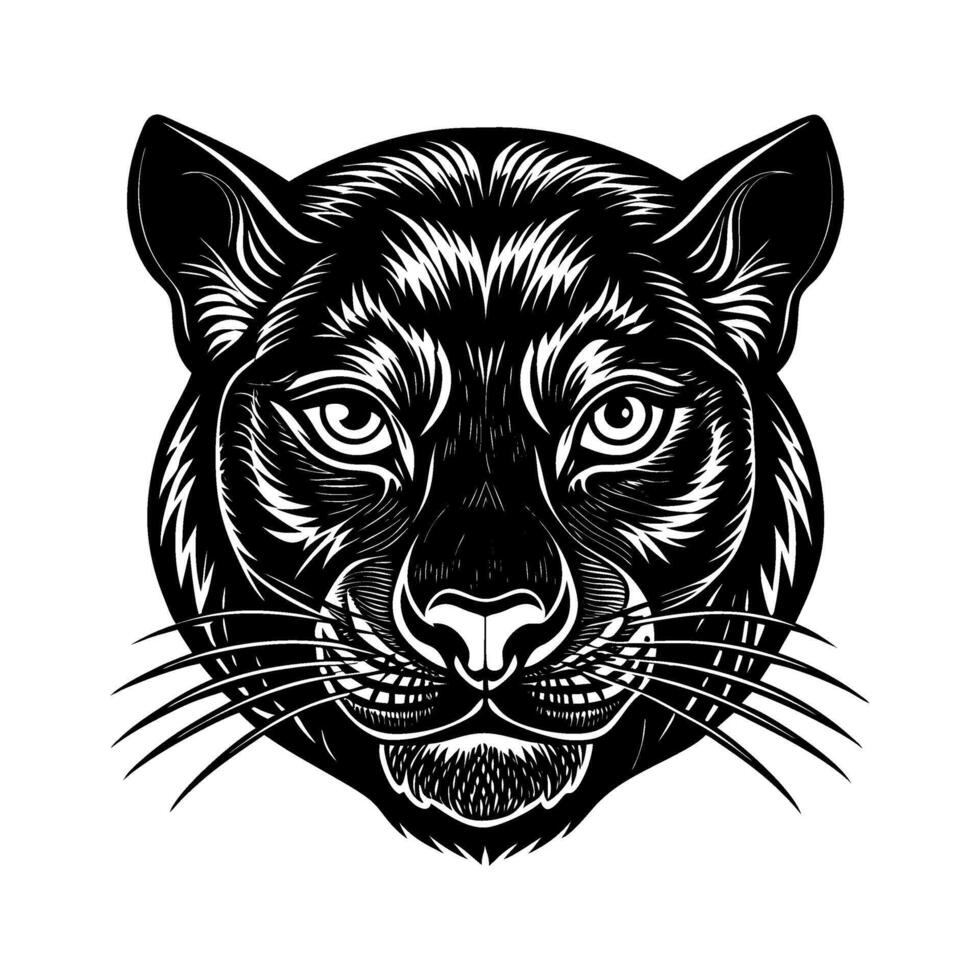 The head of a panther is shown in a black and white drawing vector