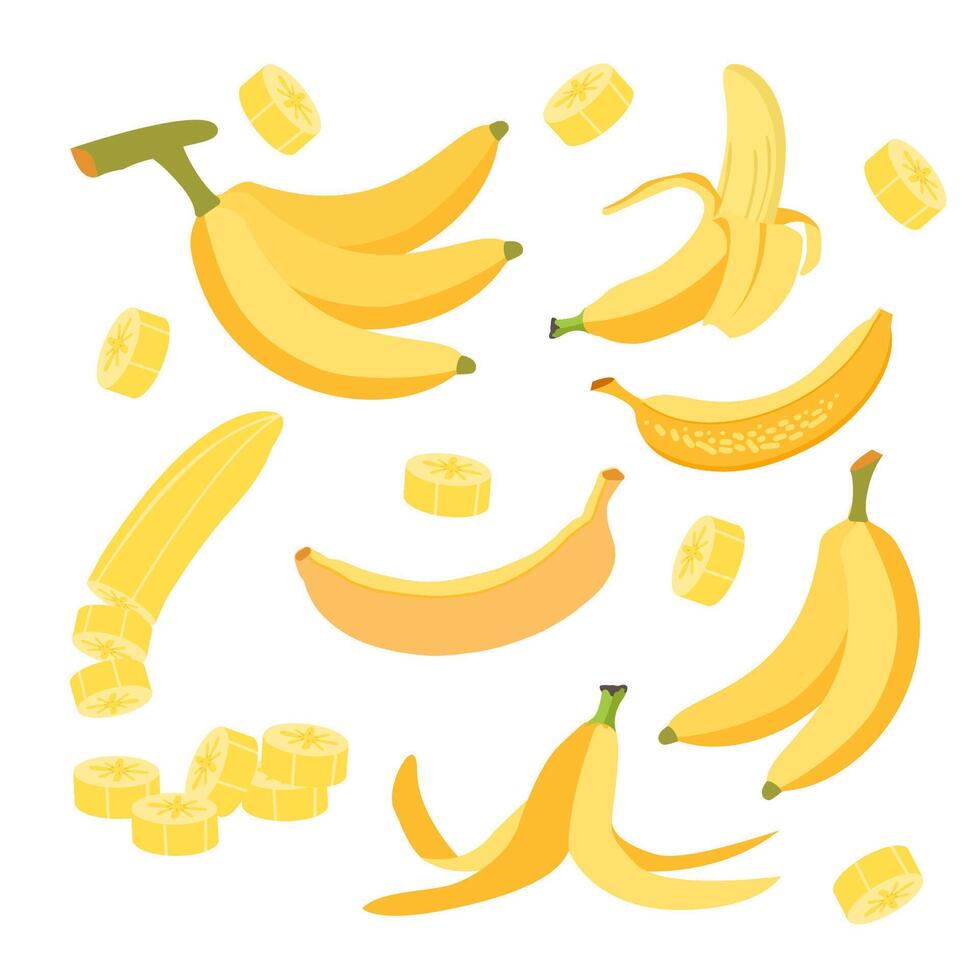 Cartoon bananas set. banana icons, half peeled and slice banana snack, bunch of bananas. Yellow tropical fruits. Exotic sweet desserts. Healthy vegan food illustration. vector