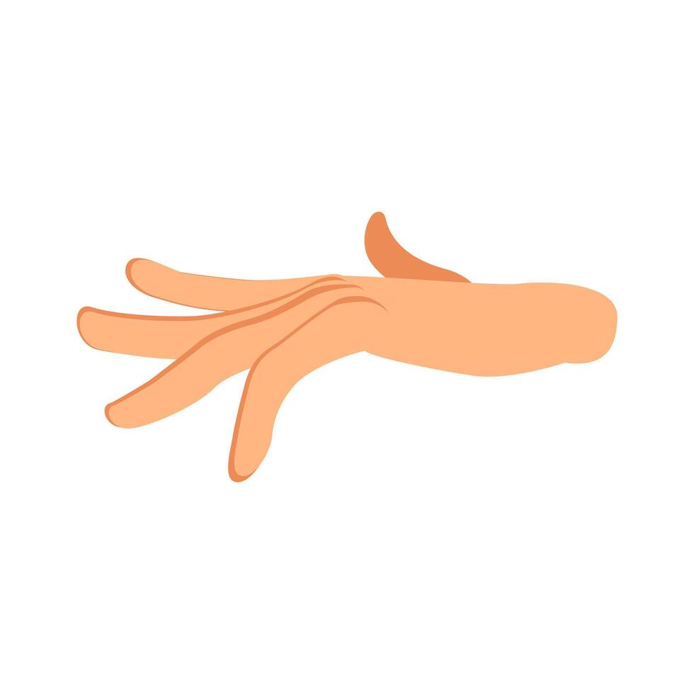 Flat illustration of a hand making a graceful reaching gesture, isolated on white background vector