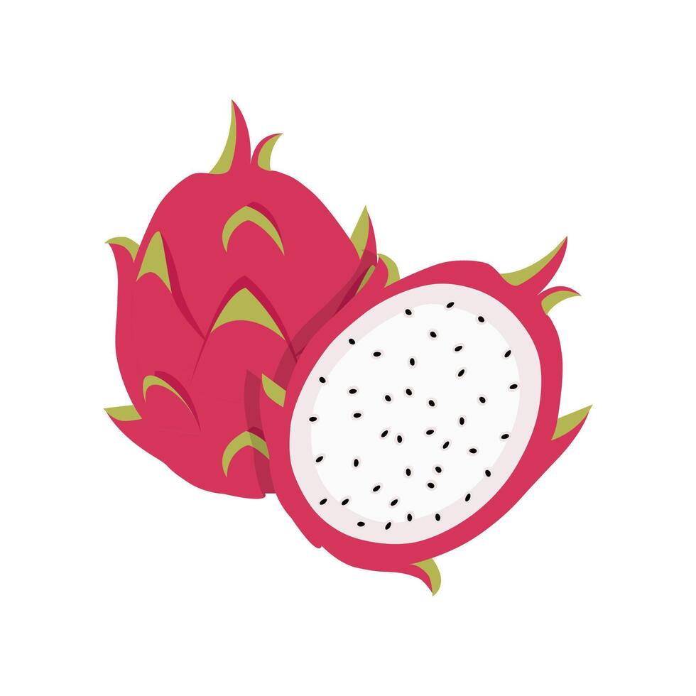 Summer tropical fruits for healthy lifestyle red dragon fruit whole fruit and half illustration flat cartoon icon isolated on white background vector