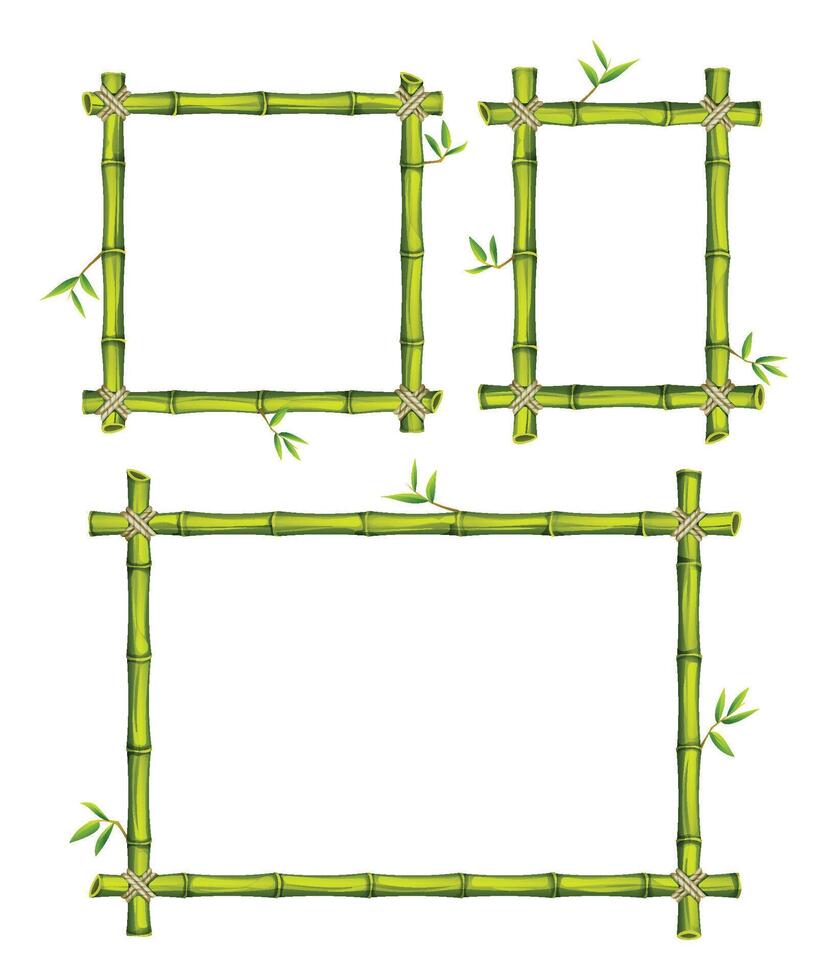 Green bamboo frames with bamboo leaves, in different geometric shapes, on a white background. Cartoon illustration vector