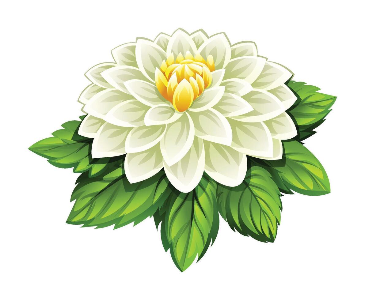 Delicate white dahlia flower with leaves illustration vector