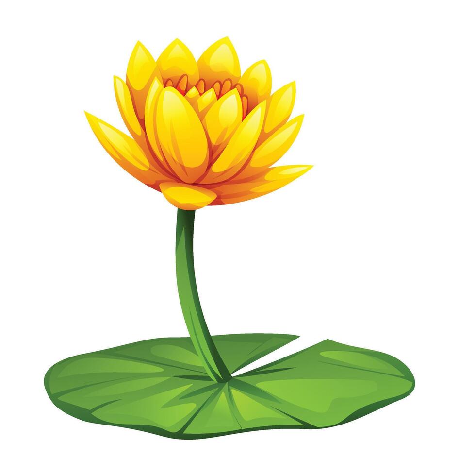 Bright yellow water lily flower on lily pad. Cartoon illustration isolated on white background vector