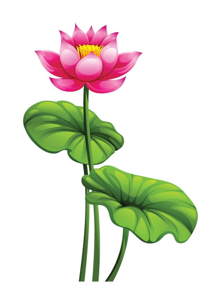 Pink lotus flower blooming with leaves. Cartoon illustration vector