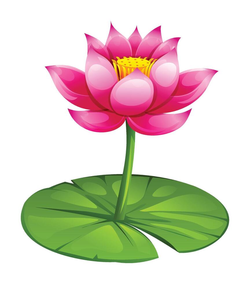 Pink lotus flower with stem and lotus pad. Cartoon illustration vector
