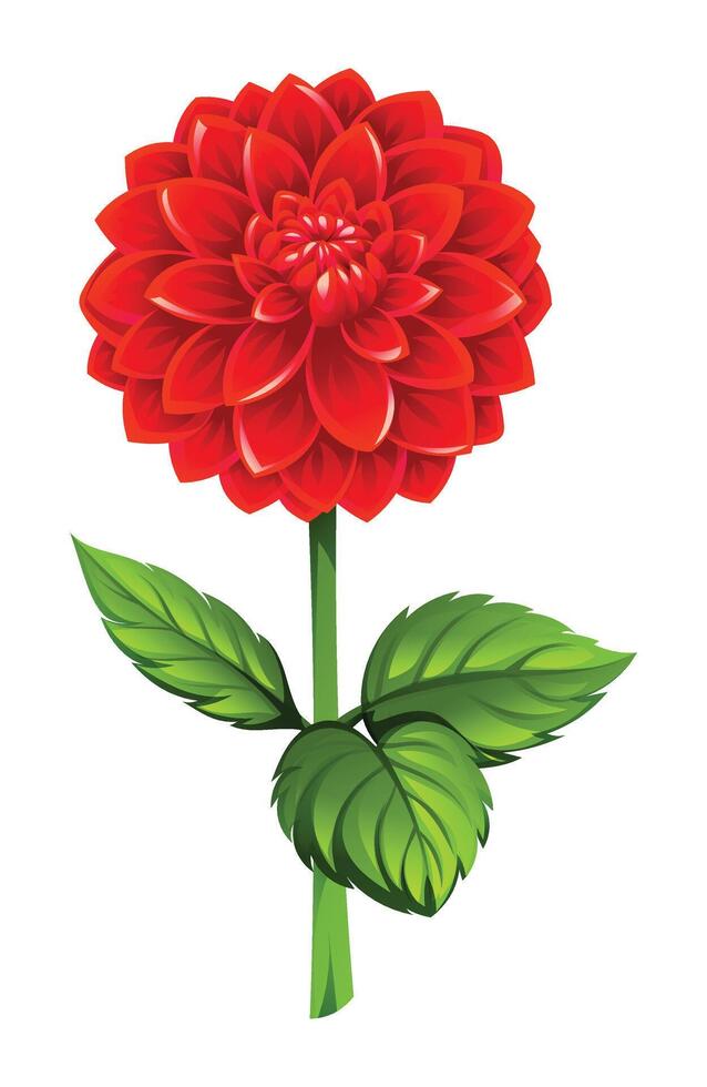 Beautiful red dahlia flower with leaves illustration vector