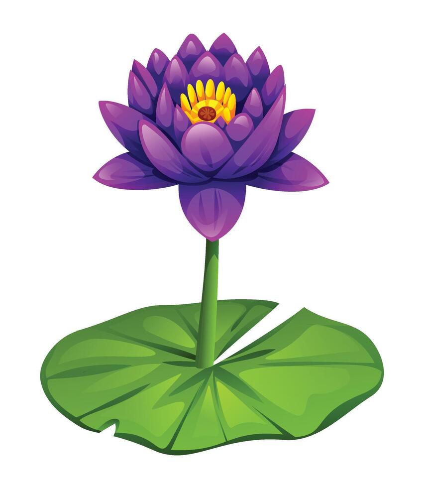 Purple water lily flower on lily pad. Cartoon illustration isolated on white background vector