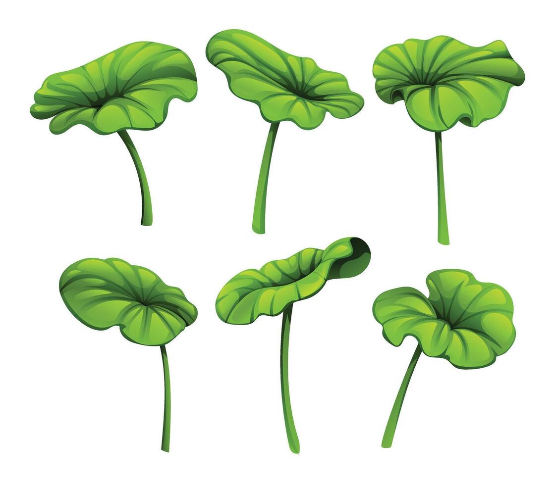 Collection of lotus leaves with varying shapes and sizes. Cartoon illustration vector