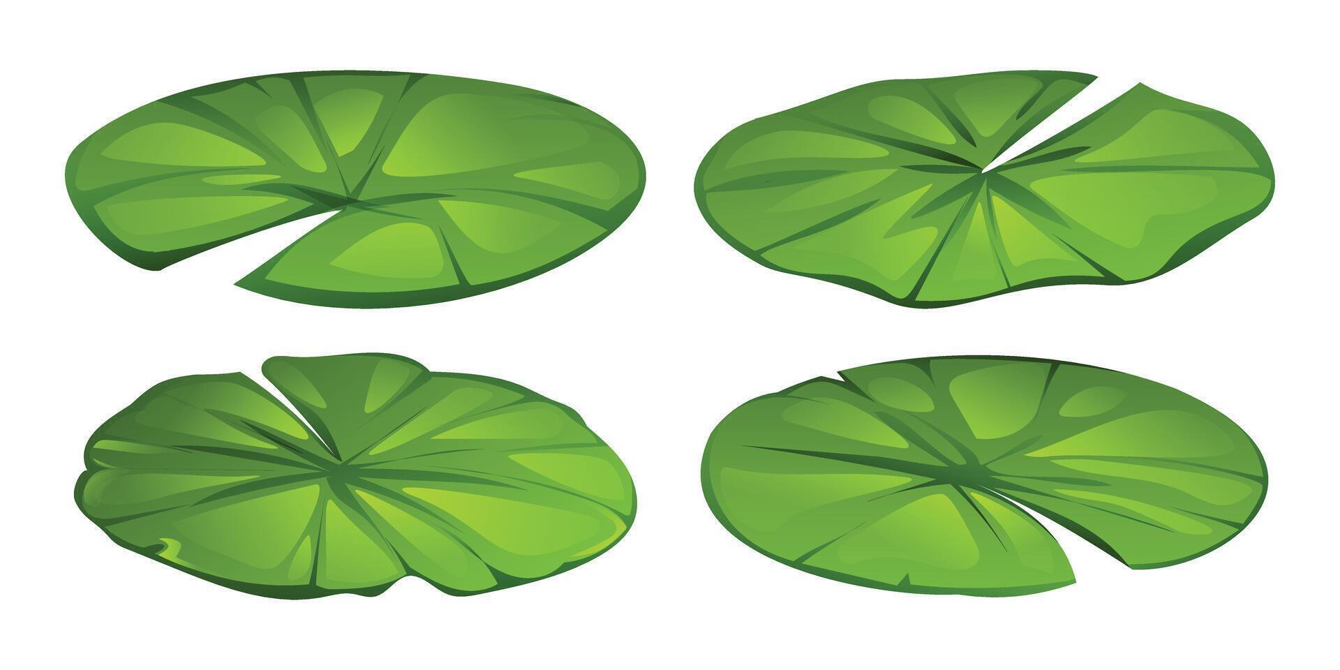 Set of water lily leaves with different shapes. Cartoon illustration vector