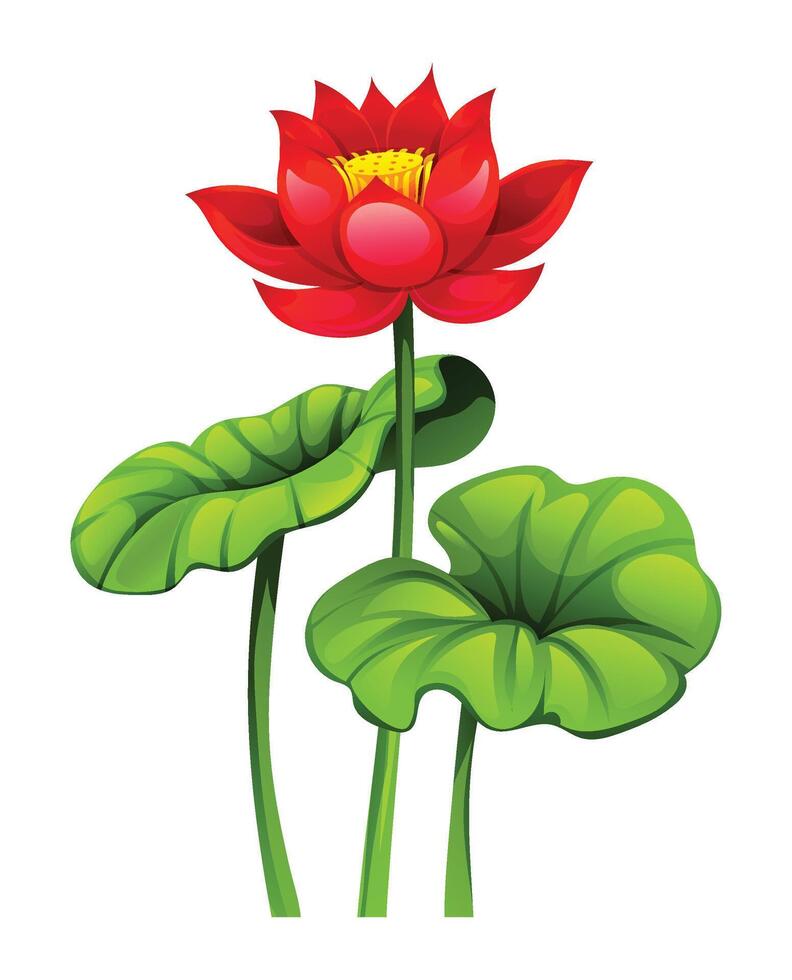 Blooming red lotus flower with lotus pads. Cartoon illustration vector