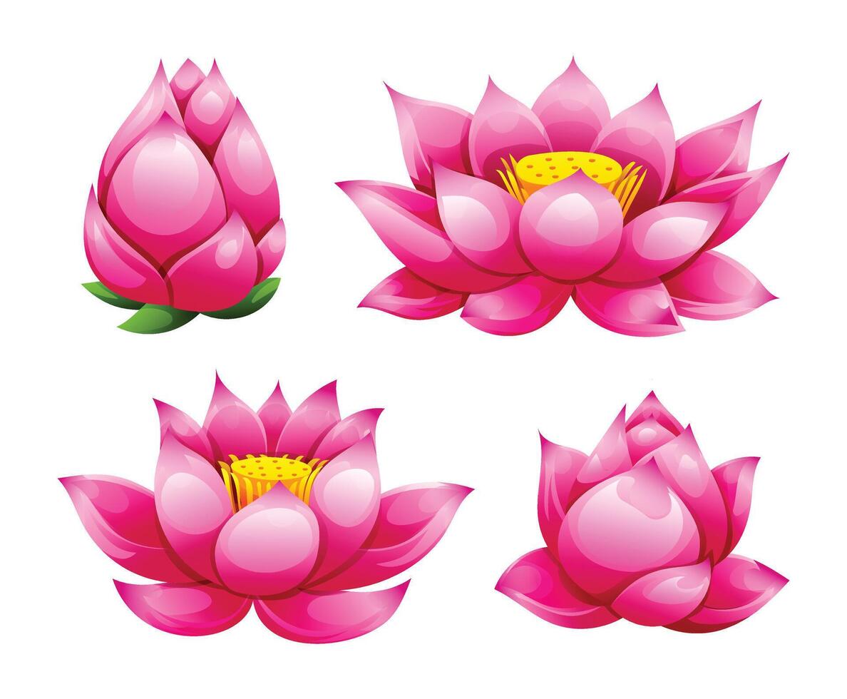 Set of pink lotus flowers in different stages, from bud to fully bloomed. Cartoon illustration vector