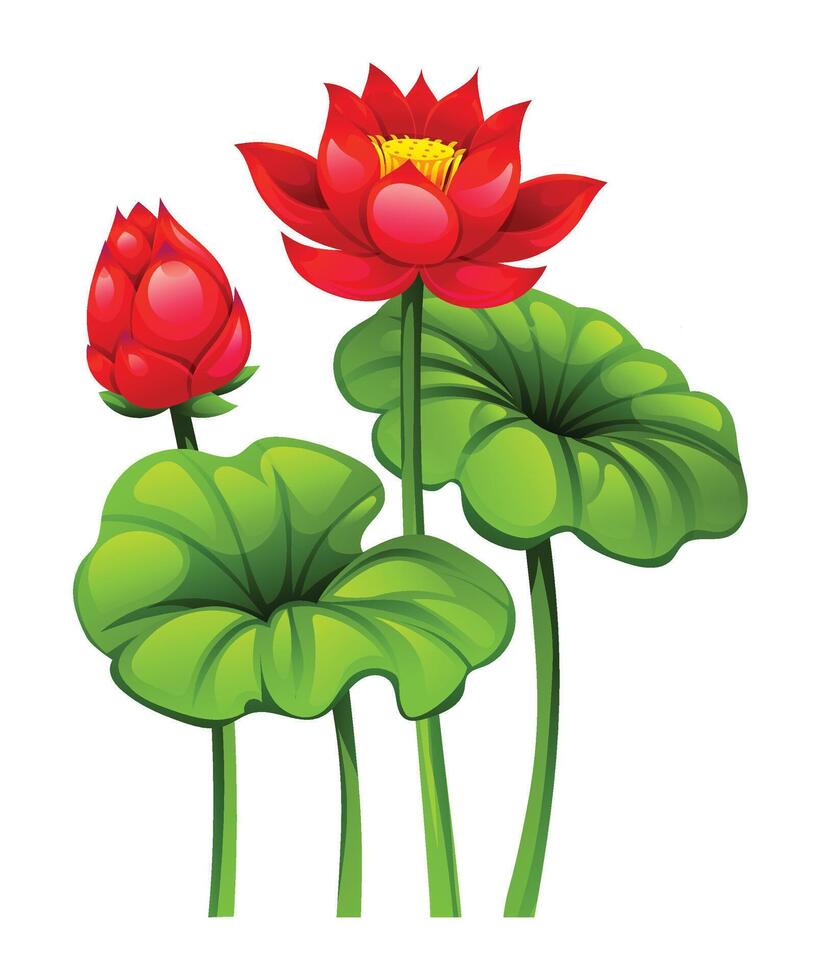 Red lotus flower with stem and lotus pad, accompanied by a blooming bud. Cartoon illustration vector