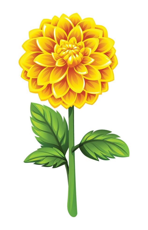 Beautiful yellow dahlia flower with leaves illustration vector