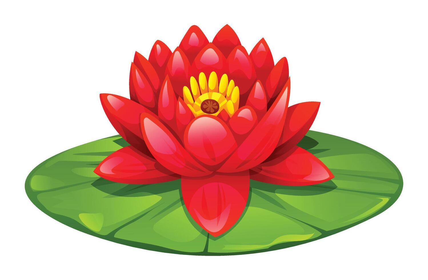 Beautiful red water lily flower blooming on lily pad. Cartoon illustration vector