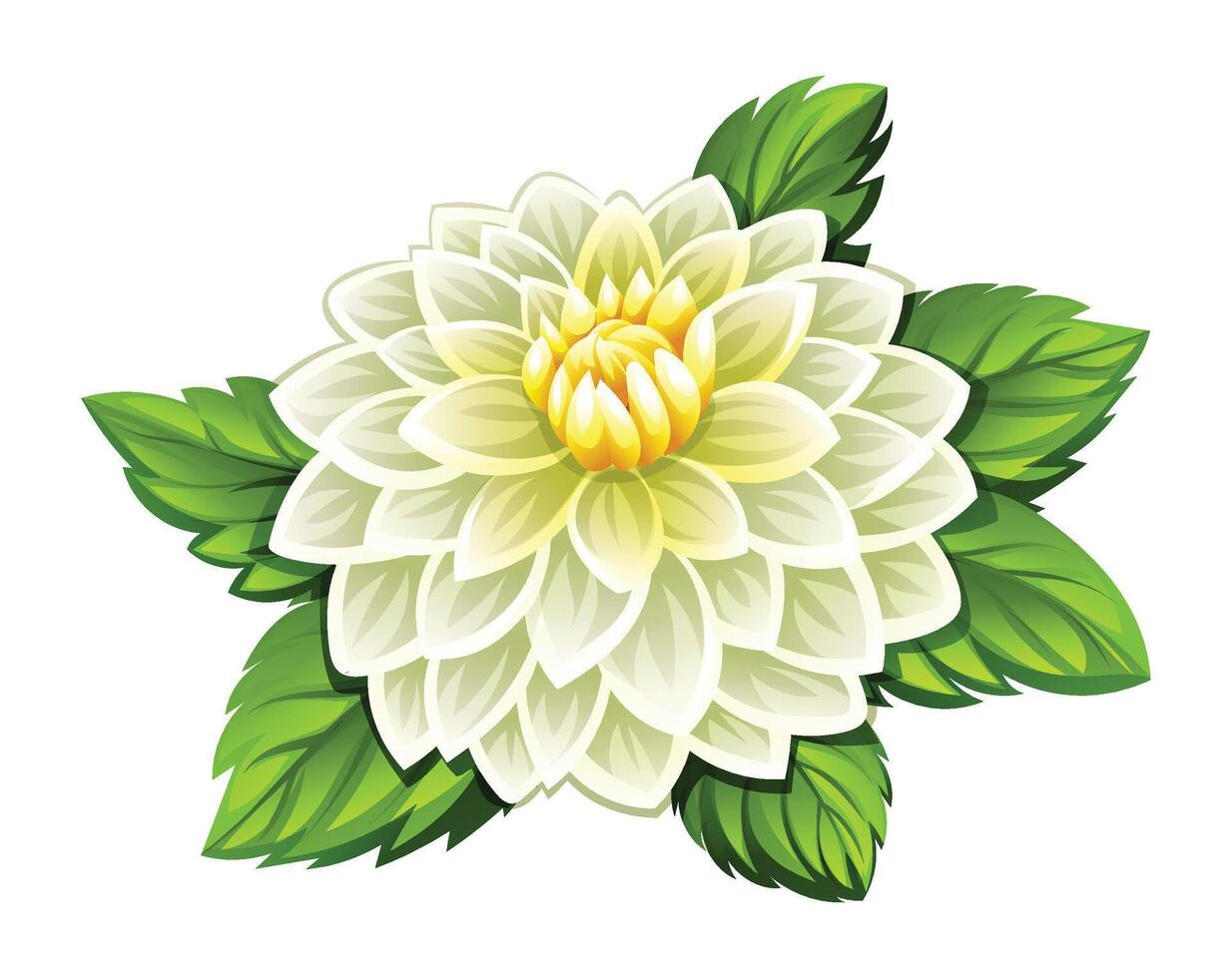 Beautiful white dahlia flower with leaves cartoon illustration vector
