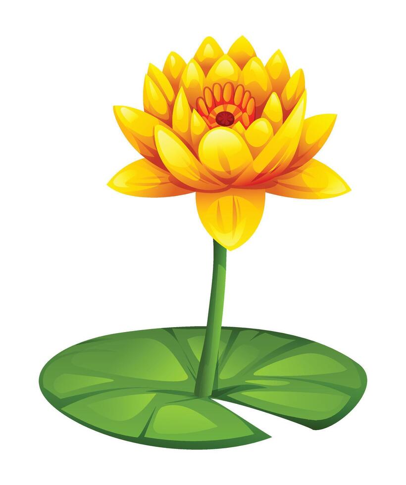 Blooming yellow water lily flower on lily pad. Cartoon illustration isolated on white background vector