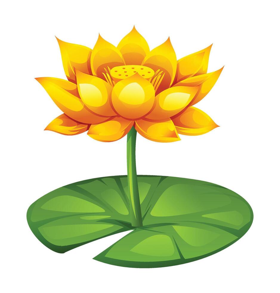 Yellow lotus flower with stem and lotus pad. Cartoon illustration vector