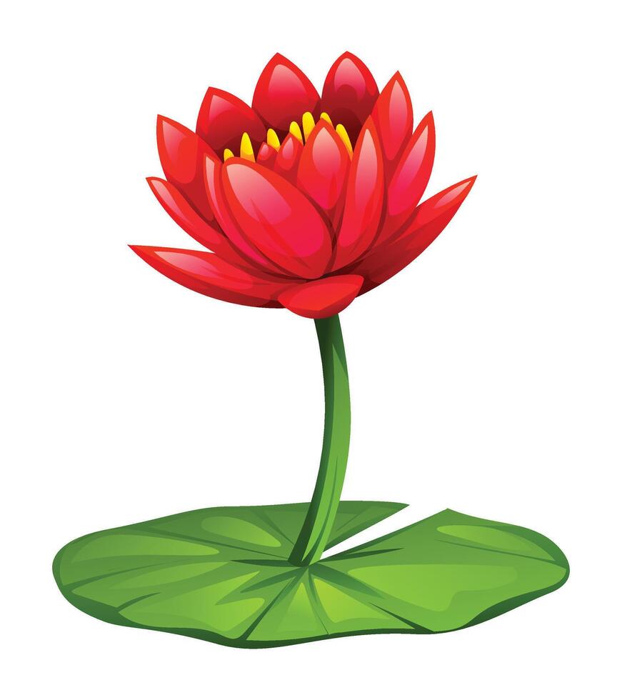 Red water lily flower on lily pad. Cartoon illustration isolated on white background vector