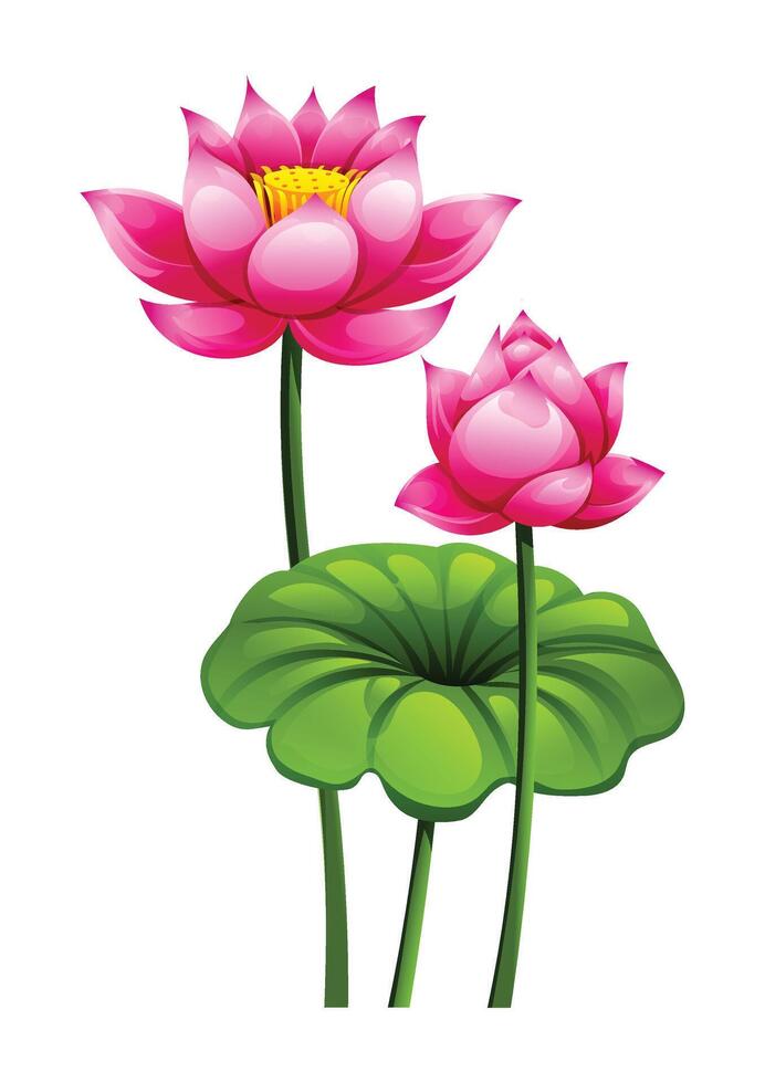 Pink lotus flowers on long stems, with one in full bloom and the other as a bud. Cartoon illustration vector